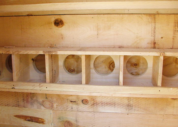 interior chicken coop nesting boxes built in custom house mississippi