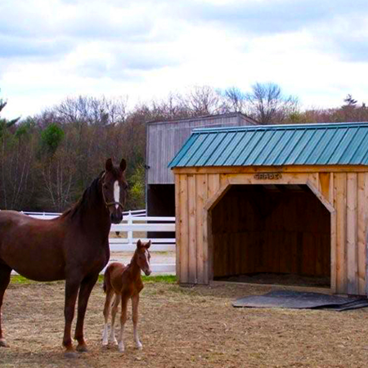 Kits, Plans and Prefab Cabins from the Jamaica Cottage Shop